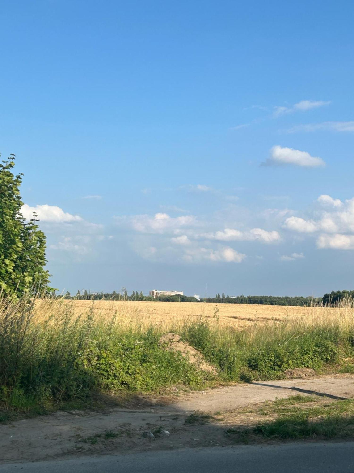 Ferienwohnungen Mit Feldblick 슈베린 외부 사진